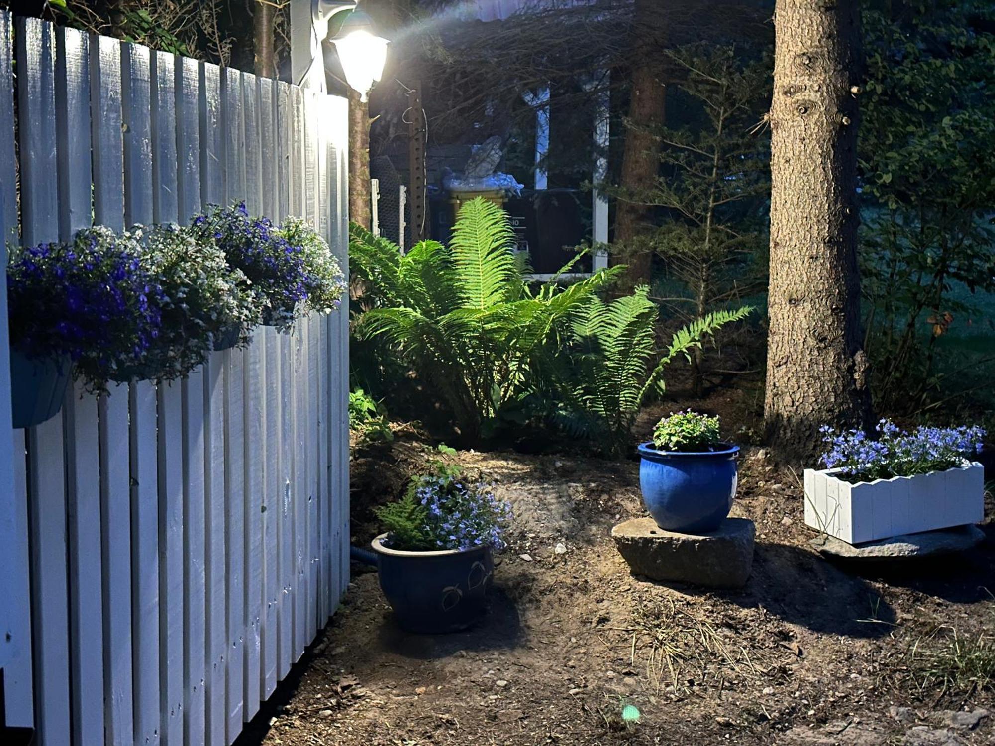 Kwiat Paproci Lägenhet Ryn  Exteriör bild